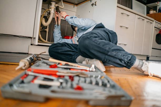 Best Emergency Plumbing Repair  in Nappanee, IN