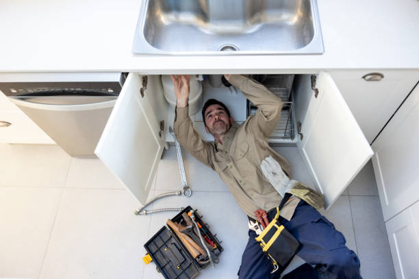 Best Plumbing Services Near Me  in Nappanee, IN