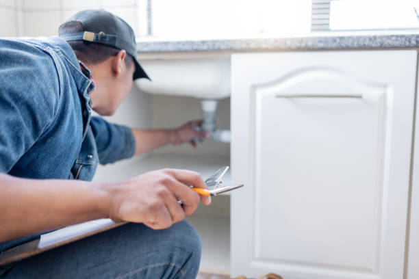 Best Local Plumber Services  in Nappanee, IN
