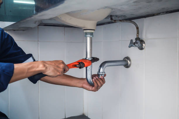 Best Same-Day Plumbing Service  in Nappanee, IN