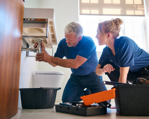 Best Commercial Plumbing Services  in Nappanee, IN